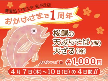 蕎麦処 いなたや 光が丘店、おかげさまで1周年！