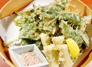 個室処 稲田屋 大手町店「天然山うど」入荷しました！