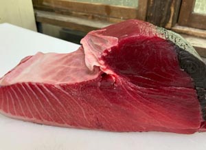 酒処 稲田屋 米子店、島根県産「本まぐろ」入荷しました！