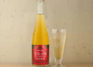 今月のお酒 純米梅酒「百花の魁」
