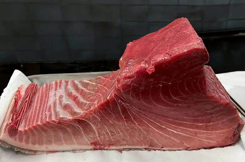 境港産 生本マグロ、入荷中