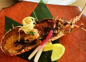 個室処 稲田屋 大手町店、特別会席コースご用意しました