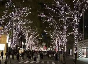 ほろ酔いの帰り道、丸の内イルミネーションはいかが？