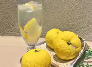 個室処 稲田屋はなれ 霞が関店、「自家製 鬼ゆずサワー」販売中