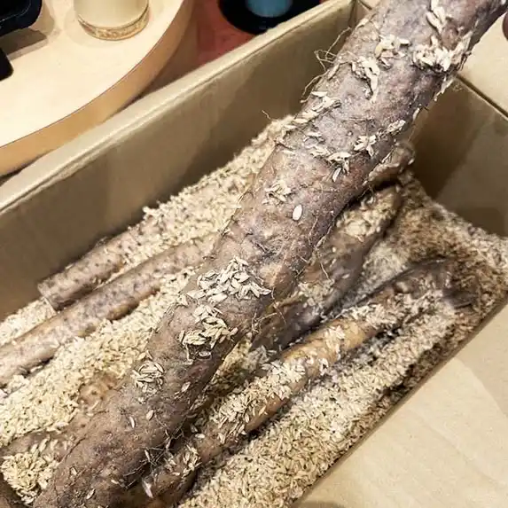 蕎麦処 いなたや 武蔵小金井店、鳥取県産 天然「自然薯」イメージ