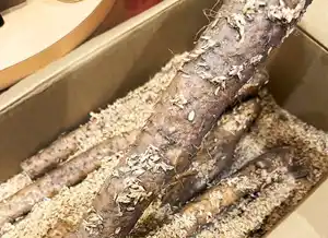 蕎麦処 いなたや 武蔵小金井店、鳥取県産 自然薯が届きました